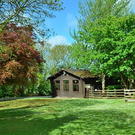 37 Trevithick Court, Tolroy Manor Βίλα Χέιλ Εξωτερικό φωτογραφία